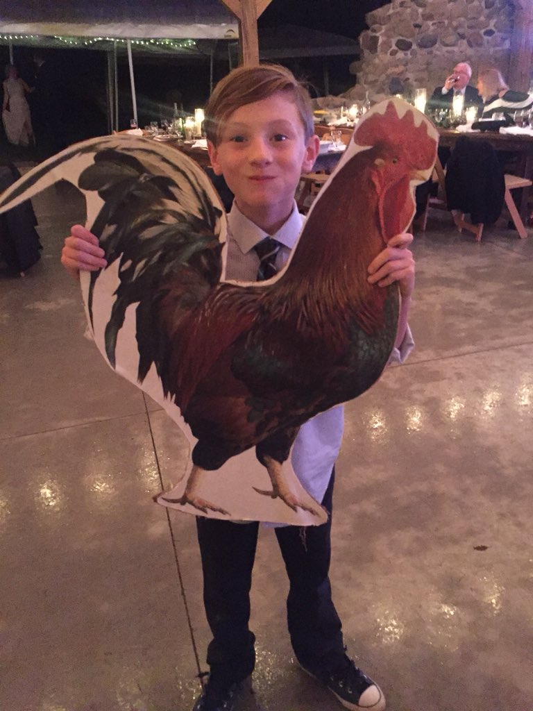 zammit_ryan's tweet photo. Save the chicks #chickens4jessandsteve https://t.co/IDyopLMn82