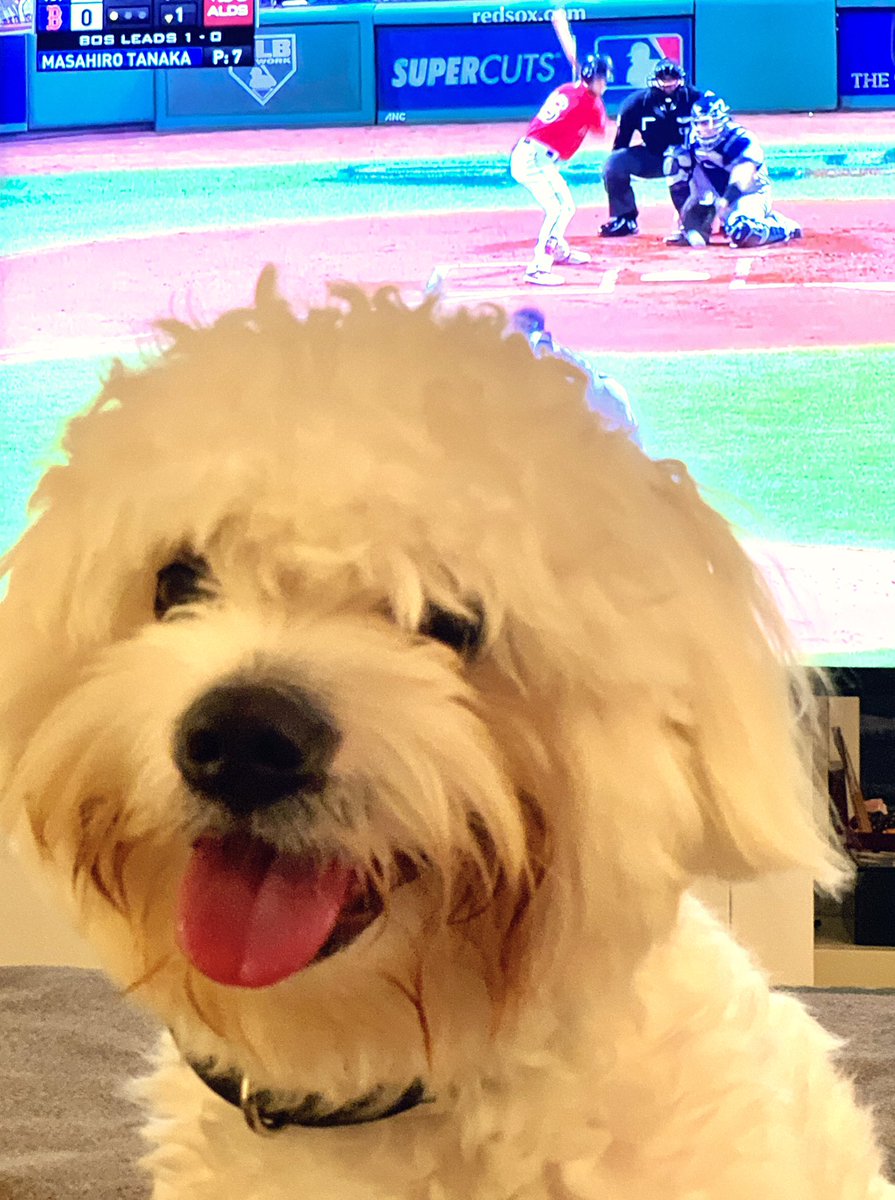 vet_bill's tweet photo. don’t care what @tomkeene thinks: @redsox suck, go @Yankees https://t.co/q6ITzKggym
