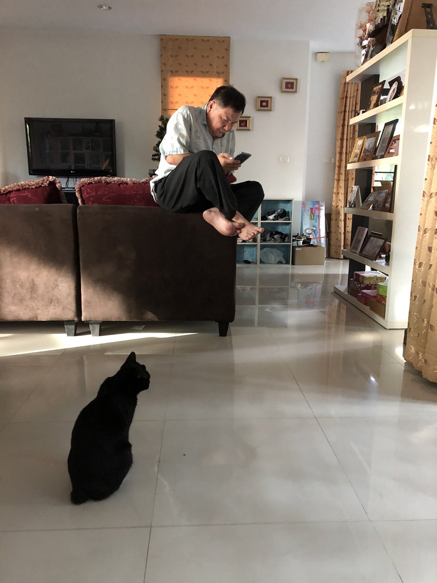 🌈 BamBam tweet media