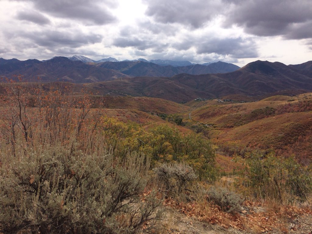 Alex_or_Allen's tweet photo. Women’s hike in Emigration Canyon produced deep conversations about politics, racism, sexism, and life’s struggles as a woman. #womenshike #utah #resist https://t.co/oLjxKMN1vo