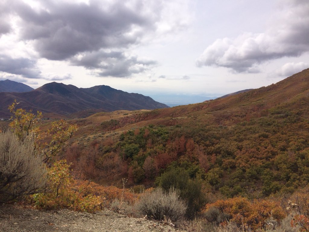 Alex_or_Allen's tweet photo. Women’s hike in Emigration Canyon produced deep conversations about politics, racism, sexism, and life’s struggles as a woman. #womenshike #utah #resist https://t.co/oLjxKMN1vo