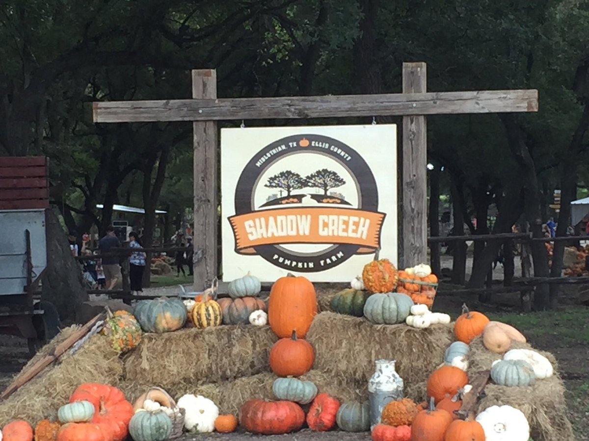 RandallSkattum's tweet photo. Second year for a perfect pumpkin patch experience! Our daughters loved the hay ride, the swings, the fresh air, and - of course - the pumpkins. Thank you #ShadowCreekPumpkinFarm https://t.co/D3sZF9l06a
