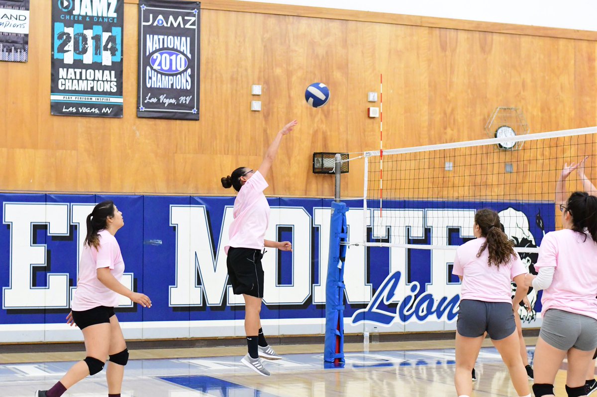EMHS_VBall's tweet photo. Alumni game 2018 more pics #golions #oncealionalwaysalion #alumni https://t.co/h19EOuoZoE