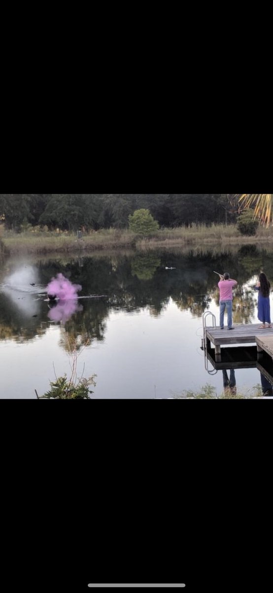 AlexisMitchem's tweet photo. our little family will be getting a little bigger and a lot sweeter as we wait the arrival of our BABY GIRL 💗 Annalise Grace Martin will make her arrival February 2019 and we couldn’t be more excited! Her daddy is already preparing to keep the boys away for the next 50 years! 💗 https://t.co/ECVDxBohyF