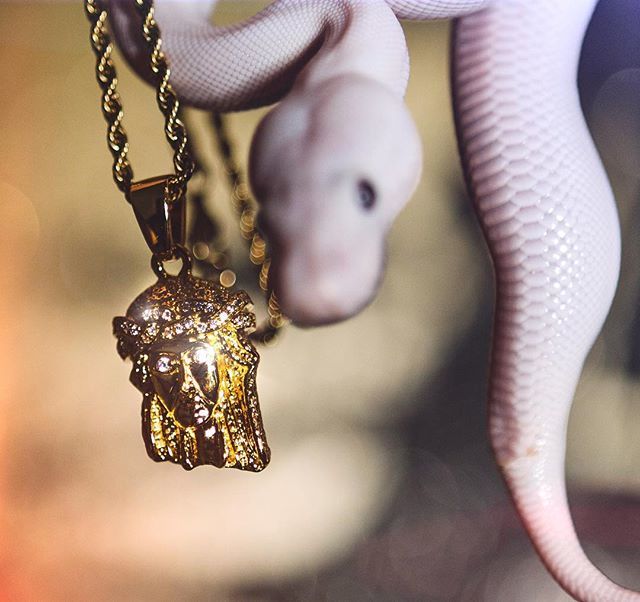 SAINTMIDAS's tweet photo. We just got a snake here at Saint Midas 🐍 go to video for contest rules ⛓⛓
#saintmidas #purveyprogress https://t.co/PPgkqiSGxE https://t.co/iZFRYDGsYq