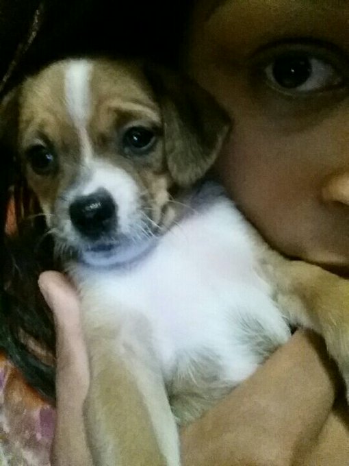 Currently potty training a terrorist...Say hi to baby Aries https://t.co/t6LMVQhLsM<a href="/tag/mividaloca"class="tags"><span>#mividaloca</span></a><a href="/tag/otra"class="tags"><span>#otra</span></a>