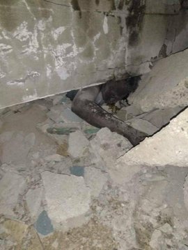 View image on Twitter