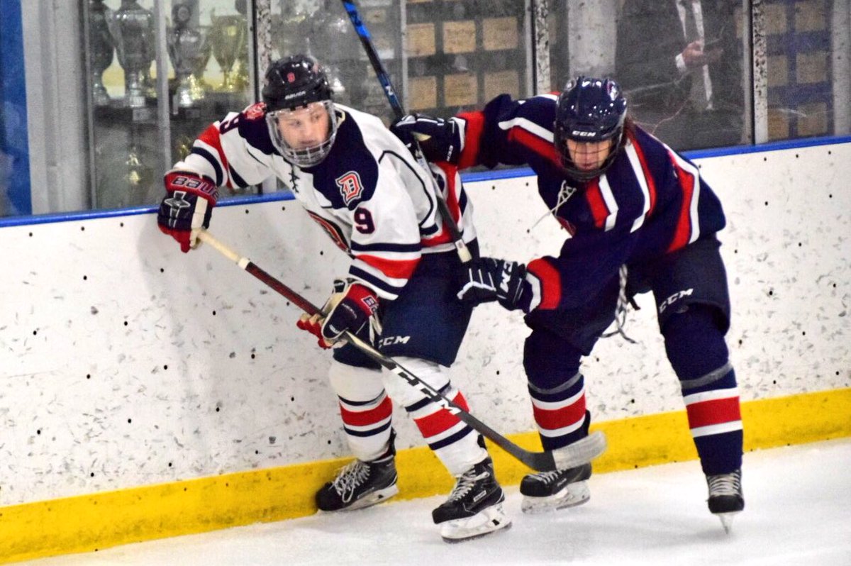 Christine D'Elia (hockeymomTo4) Twitter