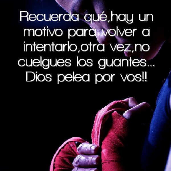 AnaliaCastillo tweet media