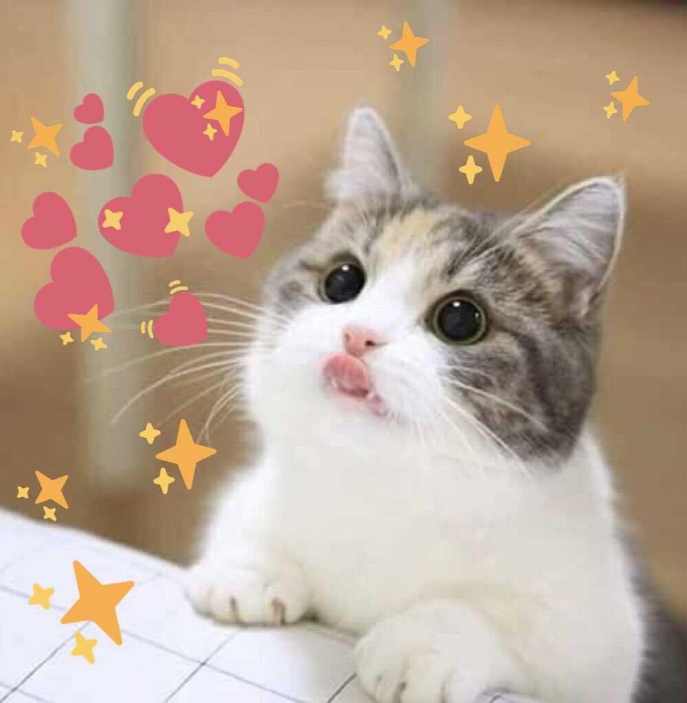 cute heart meme