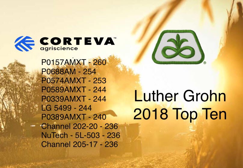 BauersSeed's tweet photo. Awesome plot in Dunn cty on Irrigated Sand, P0157AMXT really flexing its muscles. #YieldHero18 @PioneerSeeds #P0157AMXT https://t.co/0E36qNRPO1