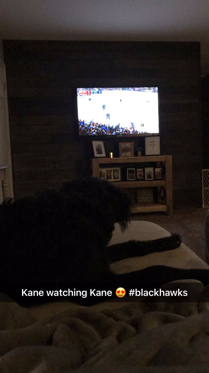KeeMichele's tweet photo. Kane whatching Kane 😍🏒❤️🖤 #chicagoblackhawks #Blackhawks #PKane #Kaner @NHLBlackhawks @88PKane https://t.co/ScTUJzVOMN