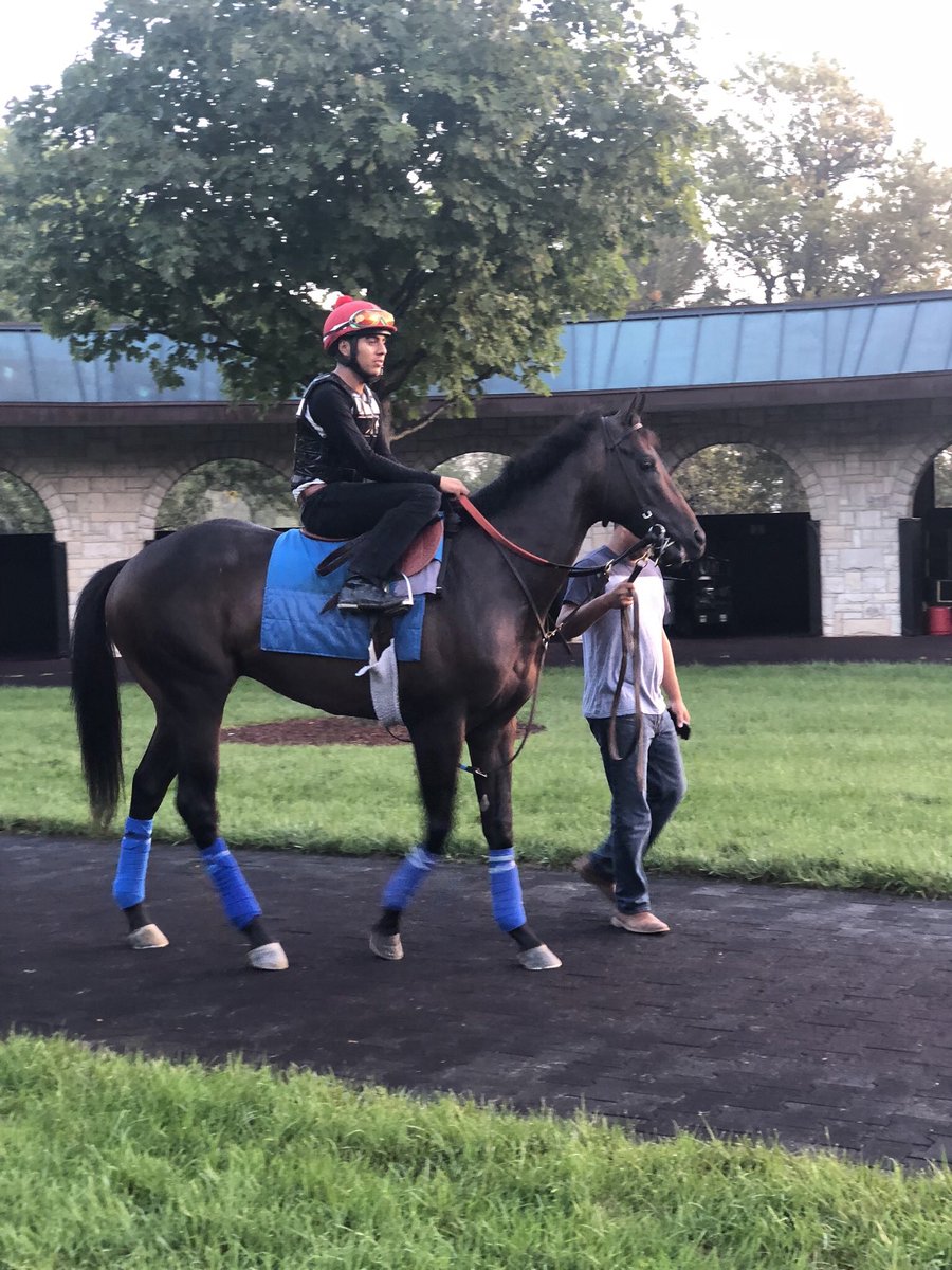 GregHoffman13's tweet photo. My 2YO, Mick’s Star, schooling in the Keeneland Paddock getting ready for the Dixiana Bourbon Stakes Race on Sunday under the watchful care of Tom Amoss...”win and your In” Breeders Cup series to be shown on NBC from 3:30-5:00 CST Sunday. Hope Springs eternal...Geaux Mick!🙏🙏🙏 https://t.co/LtKdrKYNww