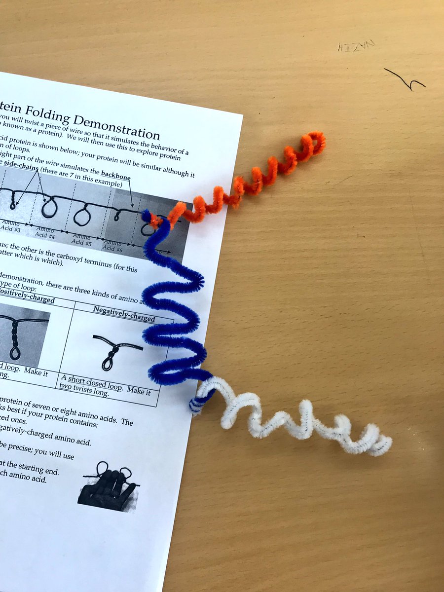 RoweidaB's tweet image. Modeling the inter and intramolecular protein interactions using colours, laughs and creativity #ibbio #topic2 @monamajzoub @Hhhsinfo