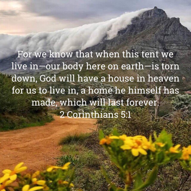 GiNO768's tweet photo. Thanks for the reminder @LifeWithThami #RIPRowenaBaird and condolences to the family @NonnBotha https://t.co/aJxYJmwzEZ