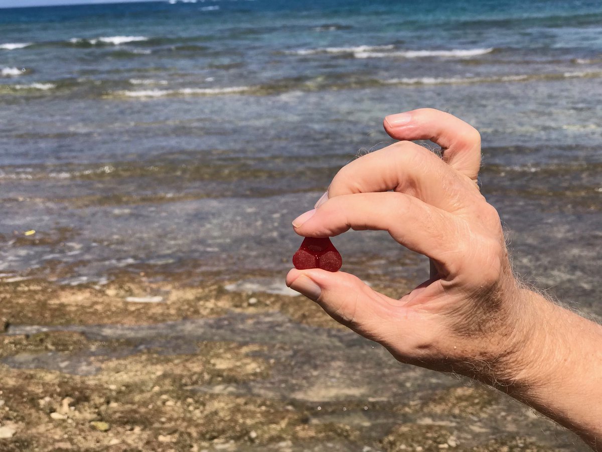 Beautiful red found today from an old 1942 Willie's Jeep while out sea glassing. 

#redseaglass #seaglass