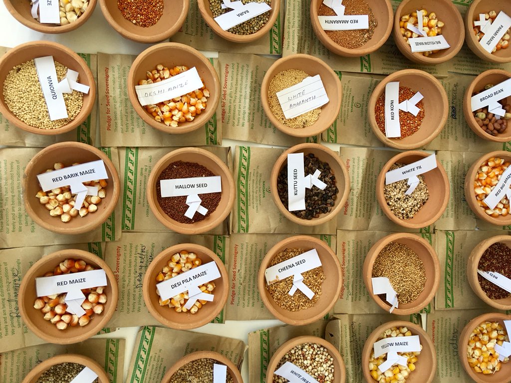 THProj's tweet image. Dr. Vandana Shiva shares ideas at the @regeneration_in meeting on #seeds #farmers #organic food &amp;amp; #democracy. #SeedFreedom