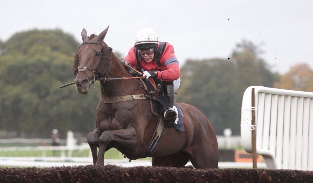 jamiesnowden's tweet photo. There is one quarter share available in yesterday’s #winner #BetweenTheWaters Please contact me for more info https://t.co/J6DnXaNZq7