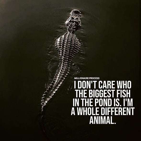 SpiritInspiring's tweet photo. Follow @integrated_thoughts for daily inspiration and motivation.
.
.
.
.
.
.
.
.
.
#lifequotes #quotesaboutlife #quotesandsayings #reallifequotes #lifequotestagram #bestlifequotes #lifequotesonline #lifequotesandsayings #princeea #relationshiptips #frie… https://t.co/sXGtsmBSz7 https://t.co/BK3fk2PZyv