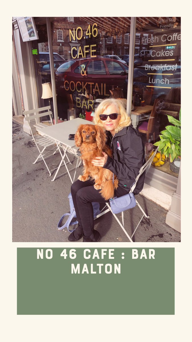 susannalewis111's tweet photo. Found a gem of a dog friendly cafe yesterday in Malton North Yorkshire. Fabulous food & they were so dog friendly. George gave it the big paws up 🐶 #malton #northyorkshire #foodcapitalofyorkshire #dogfriendly #dogfriendlyyorkshire #dogblogger #yorkshireblogger https://t.co/PIGVSX6cHU
