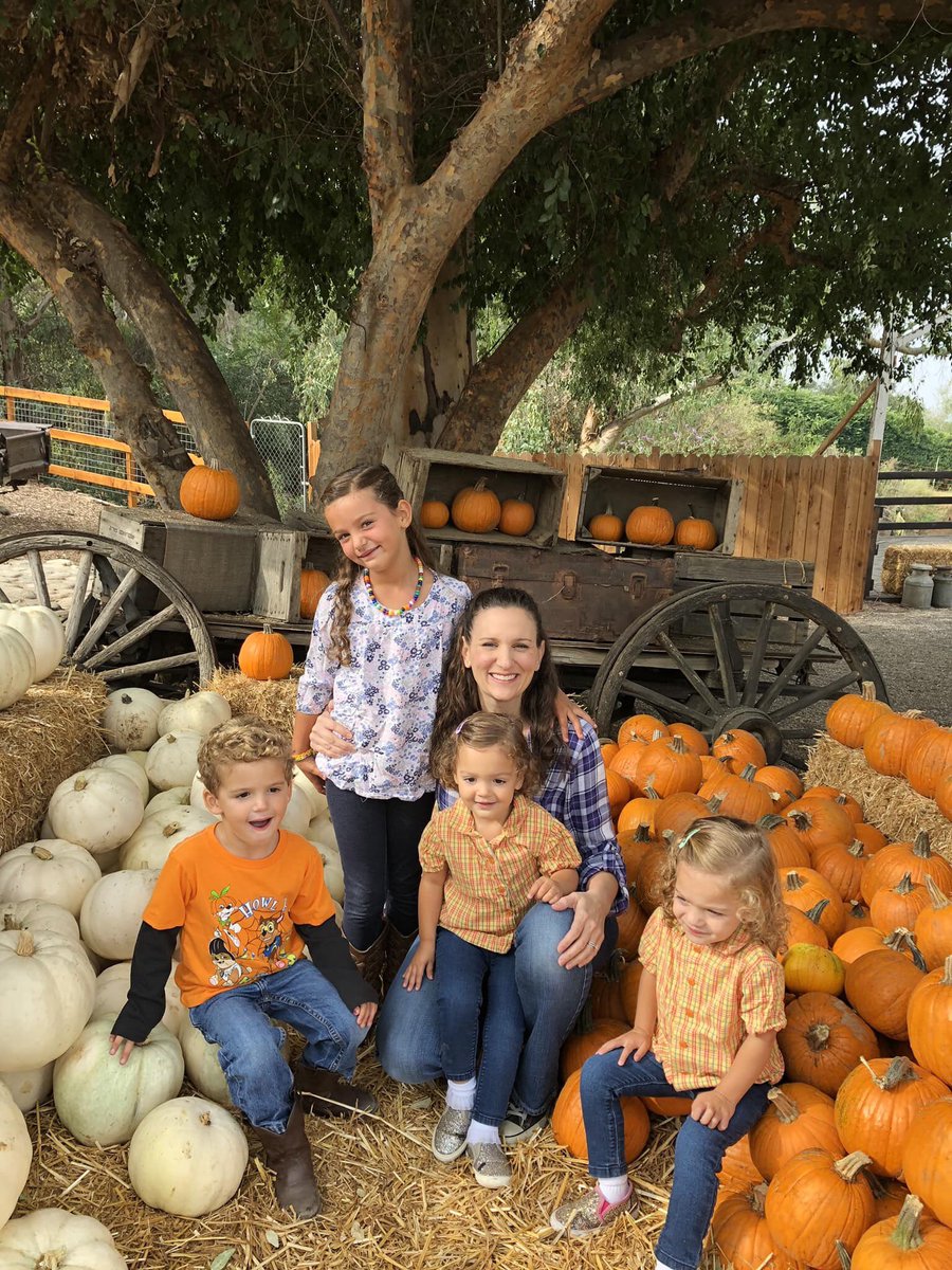 bravescollon's tweet photo. Lovin this FALL weather! πππ§‘#toomanypumpkins #toomanyScollonitos https://t.co/ibG6vJimPl
