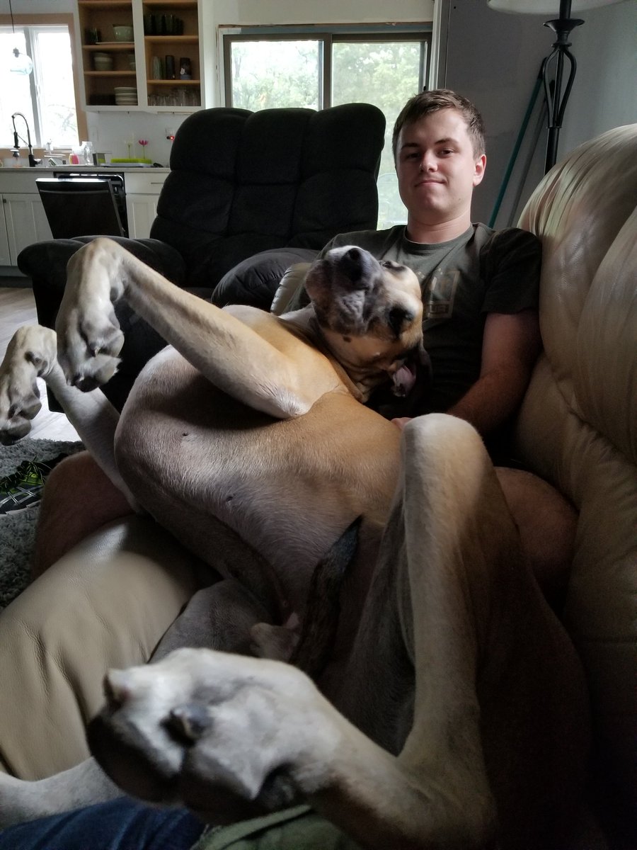 taylor_walker7's tweet photo. Just hanging out with the biggest lapdog we know https://t.co/wTYYEsiJ7U