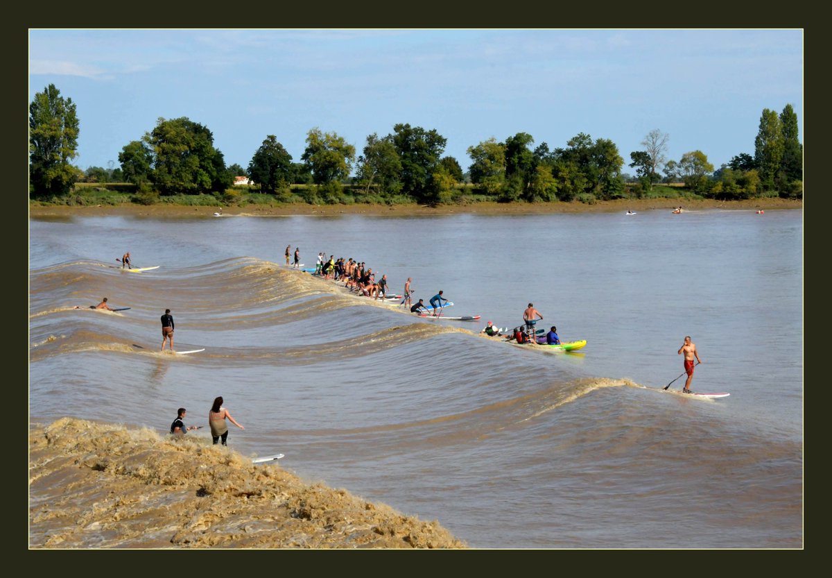 theviotmartial's tweet photo. 7/10 (14h; Office de #tourisme du #fronsadais 1 Avenue Charles de Gaulle Saint Germain-la-rivière) : Admirez les évolutions et circonvolutions du #mascaret, à raison de 3 ou 4 points de vue successifs sur la rivière. 05 57 84 86 86 https://t.co/W8FRH6FSpu