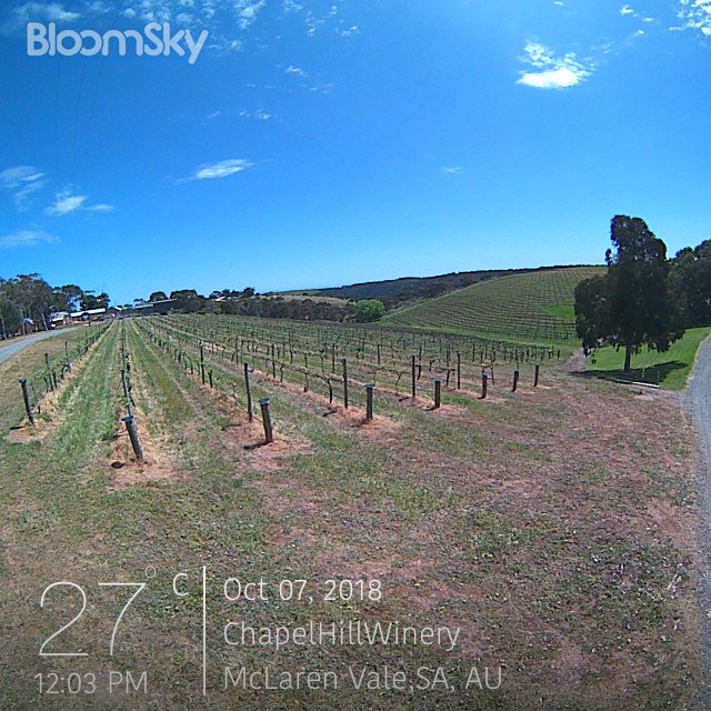 Jaw dropping weather today. Make the most of it. Come for a drive!  #McLarenVale Now: 27°C map.bloomsky.com/weather-statio…