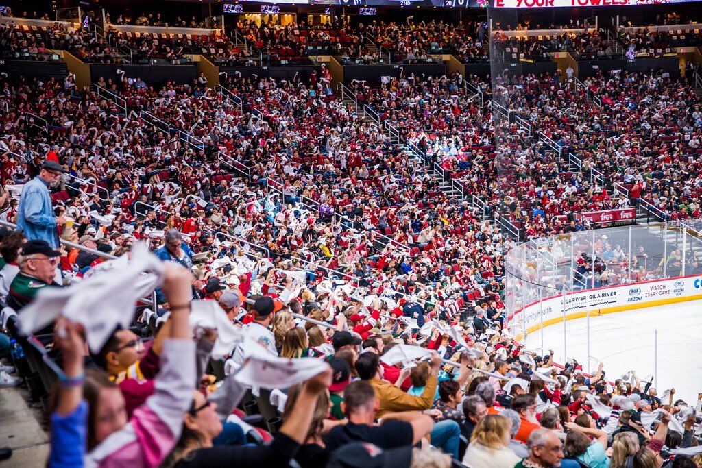 Arizona coyotes fan capacity