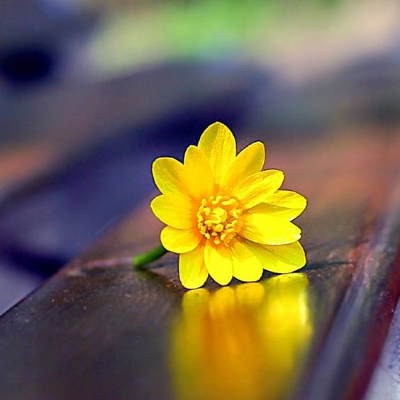 #صباح_الخير
في الليل 
كل مشغول برتق روحه 
والسماء تحيك من صدى 
الدعوات فجرا ... 
#ناب