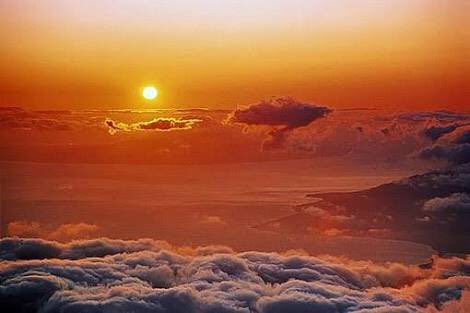 Alexx (@alexxf3) on Twitter photo 