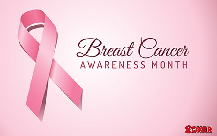 BoxerStores's tweet photo. October is Breast Cancer awareness month. Follow us and RT this tweet for awareness and stand a chance to win a hamper. https://t.co/FH4yp2an02