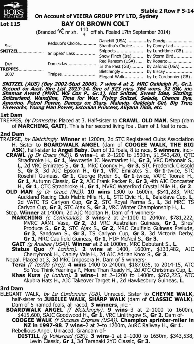 BreedWatchOC's tweet photo. #Trapezeartist (Pic 1) traces back to Raphis, an eight years younger sister to Phar Lap. 

Female line back to to Entreaty, dam of Phar Lap.

Inbred 5x3 to #Bletchingly (Pic 2)

#TheEverest Contender https://t.co/YgD59a500q