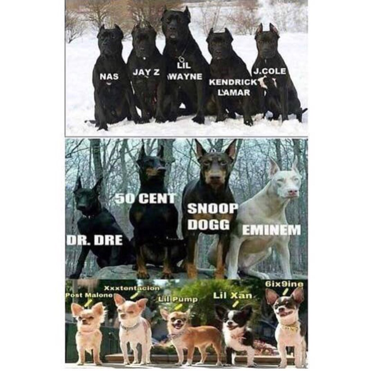 MeemsStuds's tweet photo. #newmusic #mumblerap #hiphop #dogs #pitbulls #doberments https://t.co/WSFYsrbzwA