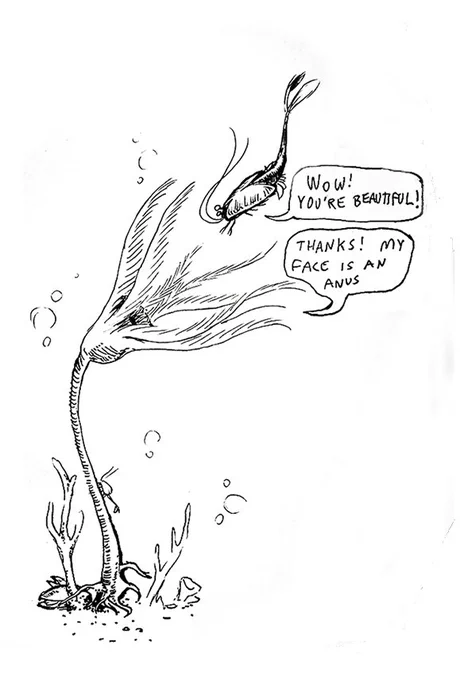 #inktober #Inktober2018 For Crinoid out loud! 