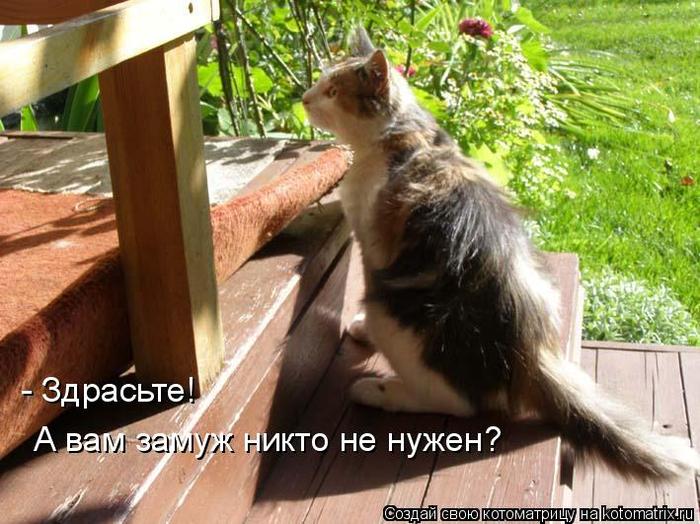 Для открытки, картинка с надписью здрасьте вам