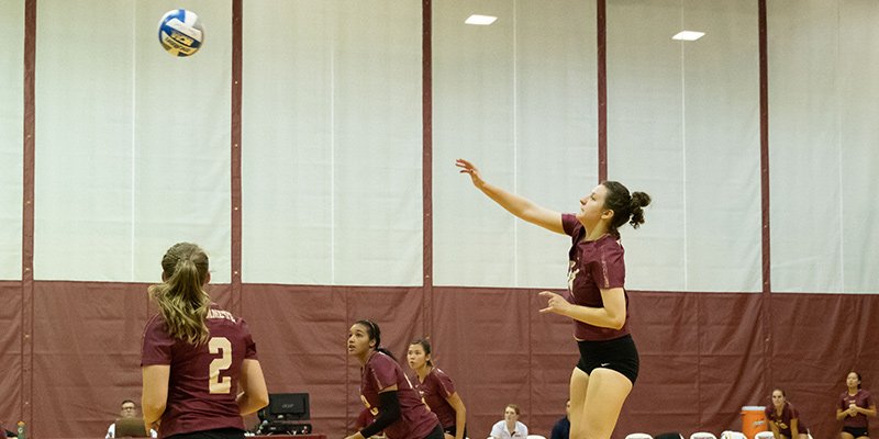 Willamette Bearcats tweet media