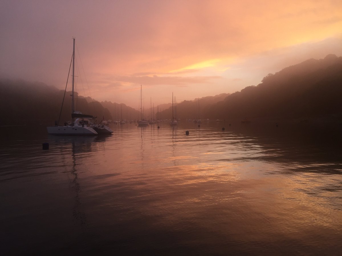 Polly MarshallTaplin tweet media