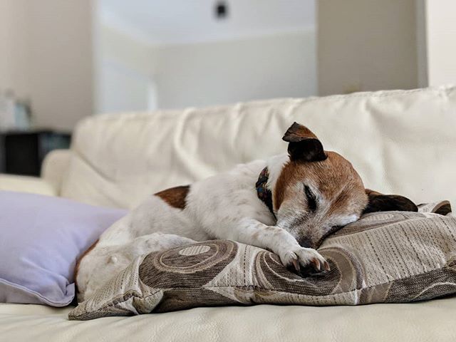 MickyC's tweet image. Sunday vibes... ift.tt/2CwcviF