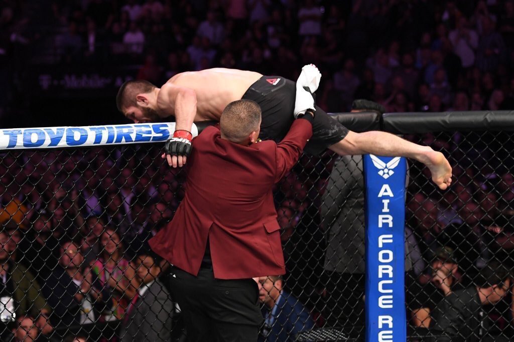 #UFC229 Sen adamın dinine küfür et , terorist de , otobuse saldır ailesine küfür et . Adamı yerler yer Aslansın #Khabib