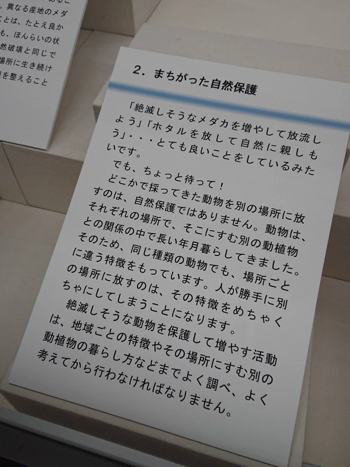 こういうの大事！！博物館が教えてくれる「まちがった自然保護」