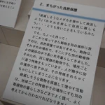 こういうの大事!博物館が教えてくれる「まちがった自然保護」