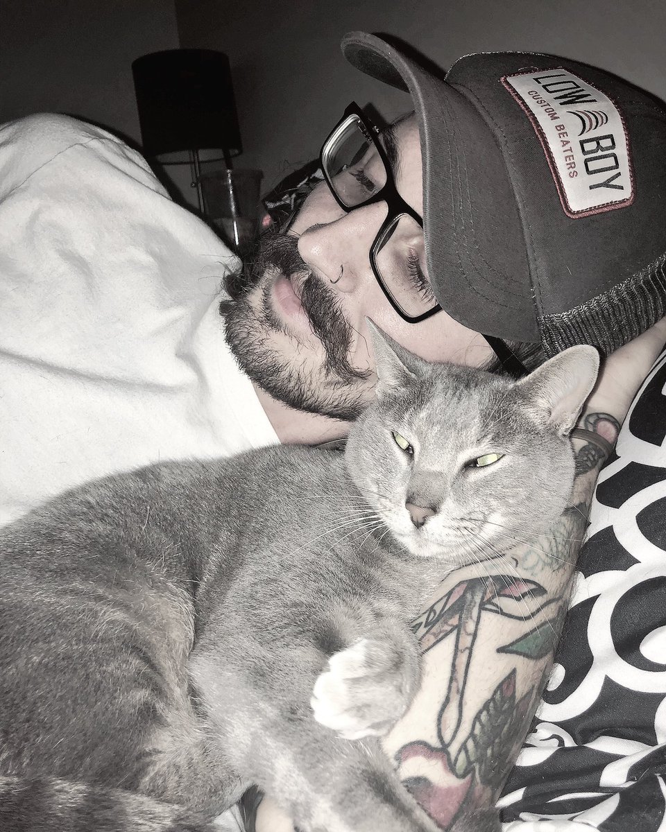 my cat loves my boyfriend more than me
