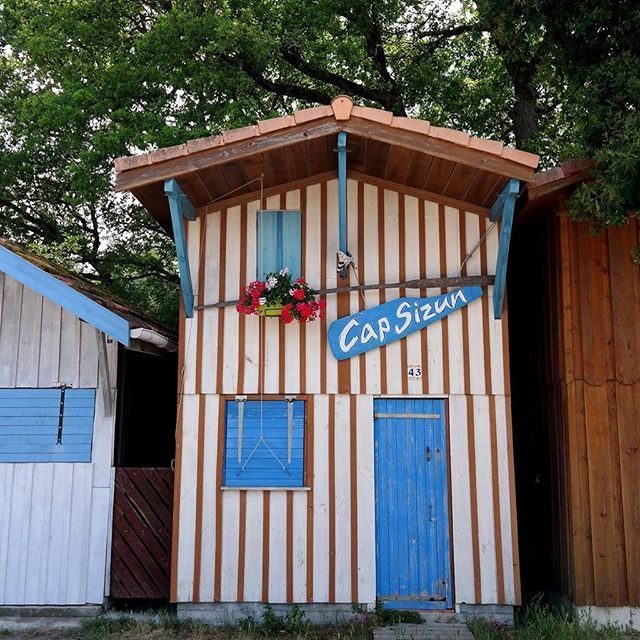 TVBA_fr's tweet photo. Cabanes colorées du port de Biganos... #bassindarcachon #coeurdubassin #biganos #port #cabane #couleur #vive #style #espritbassin #paysage #decouverte #maritime https://t.co/3V7Omv8BpC https://t.co/o6MmdE3anS