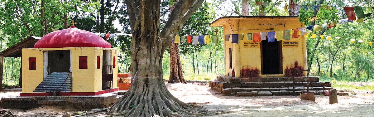 Lumbinidtrust's tweet photo. #Devadaha, the ancient capital of the #Koliya Kingdom is identified as the maternal hometown of Queen #Mayadevi, Prajapati #Gautami and Princess #Yasodhara, the mother, stepmother and consort of Lord Sakyamuni #Buddha ...
Learn More: https://t.co/E7F4SBr258
#VisitNepal2020 https://t.co/uqtvuMQtCZ