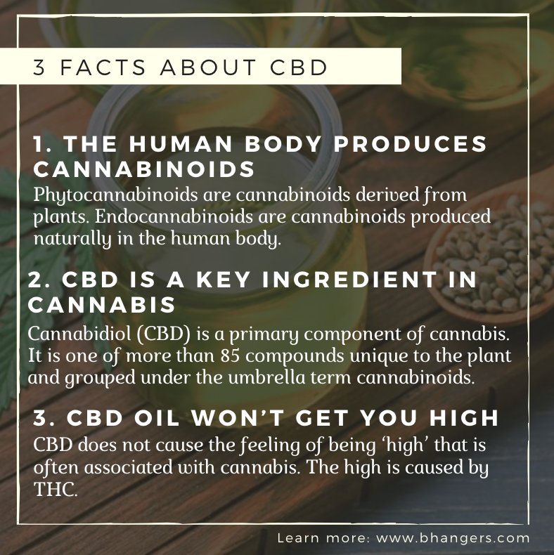 Hit 'like' if you knew any of these 3 not so well known facts!
.   .   .
#bhangers #hemp #cbd #cbdheals #cbdcures #healersnotdealers #hempculture    
#cbdlife #flowerpower #herbal #medicinal #mmj #cbdlifestyle #allnatural     #everythinglife #happiness #health #wellness