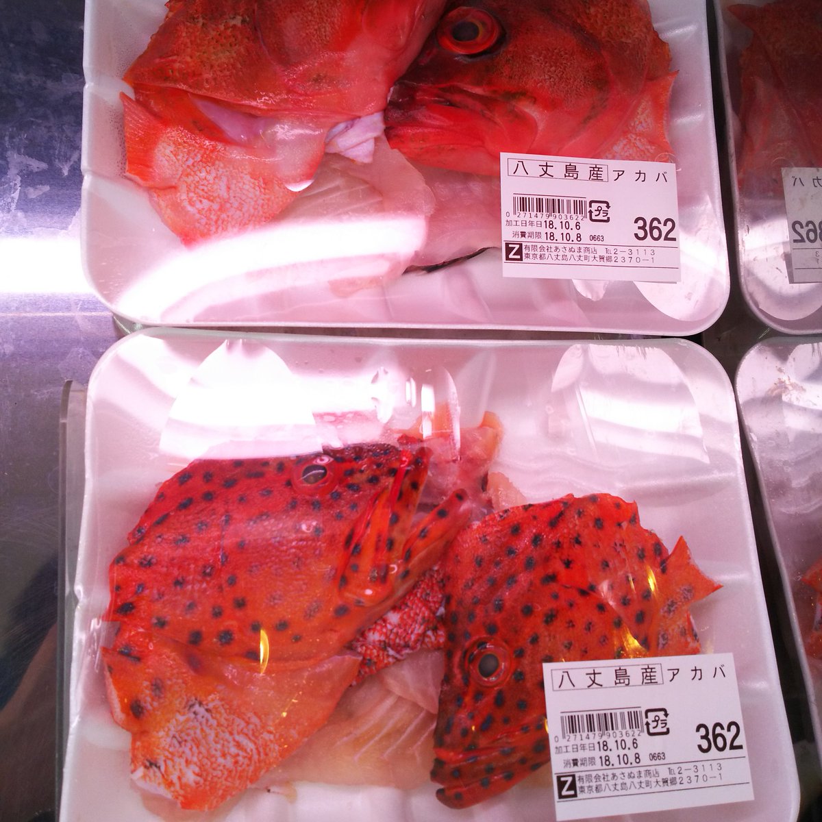 アカバ Twitter Search Twitter アカバ Twitter Search Twitter