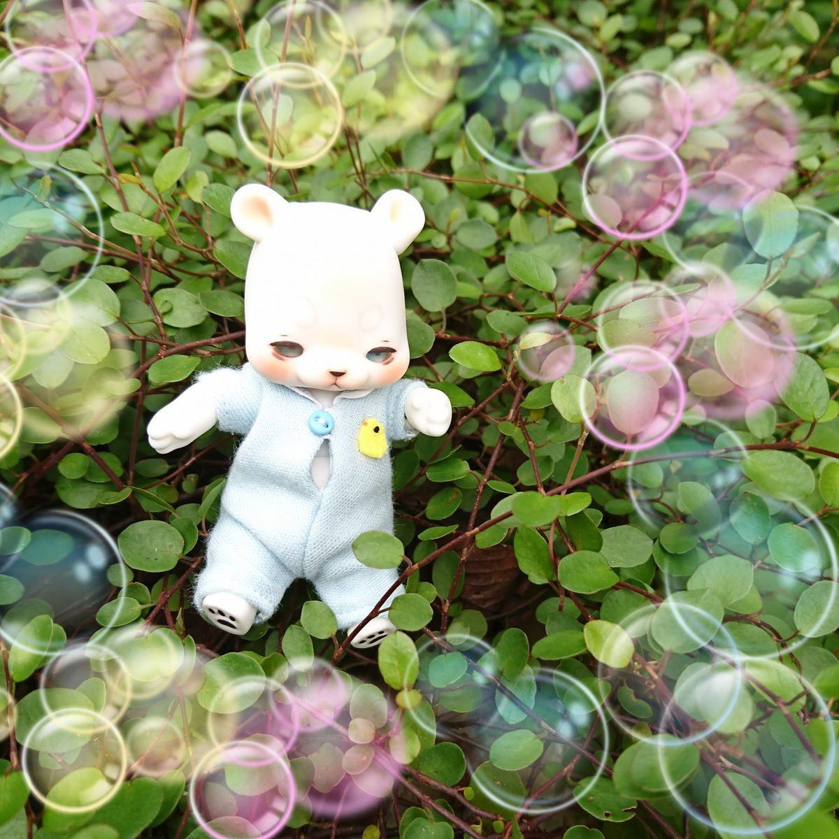 長く待ちましたが、poiちゃん我が家に到着です。今日はうらともさま(<a href="/dermond02/">𝘿𝙚𝙧 𝙈𝙤𝙣𝙙</a>)の洋服を着てお出かけしました😆お洋服最高に可愛いです！ありがとうございます✨
 #うらとも服