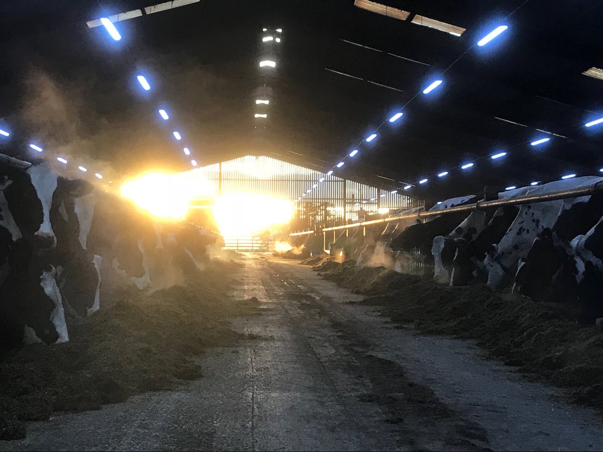 Love a nice autumn morning, that’s milking sorted and cows feed, now to go check some hfrs. #LakeDistrict #boothsmilk #Dairy #farm365