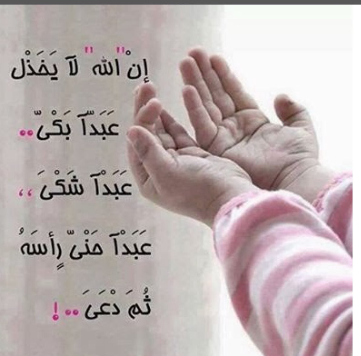 alnooormoon3's tweet photo. #راحة نفسية🍃🥀

🍃🥀يارب في القلوب امنيات لا يعلمها🥀 

غيرك ، يارب في الصدور آلام لا يعلمها غيرك 

يارب في الاجساد. بلاء انت وحدك القادر على

 إزالتها 🍃، يارب الى من نتكل وانت ربنا انت 

🍃وحدك الشافي المعافي المجيب والحبيب.        

                      ❤️🥀 https://t.co/1W0K0iJ5uy